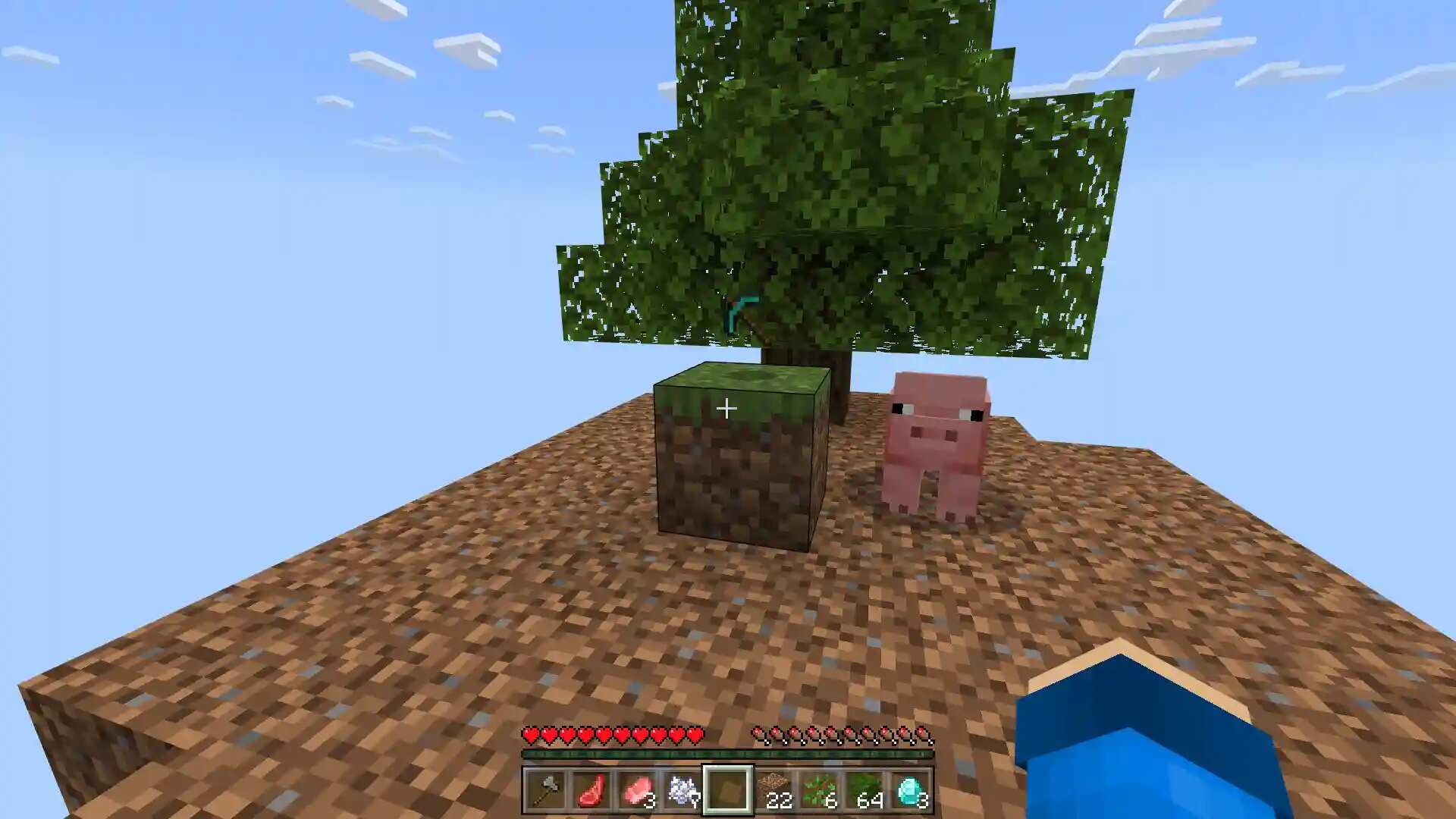 Minecraft 1.19 One Block Map