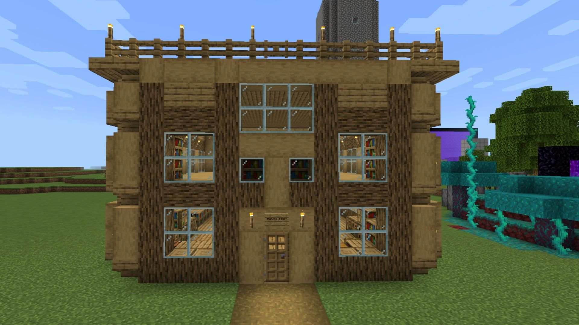 Minecraft Best Survival World