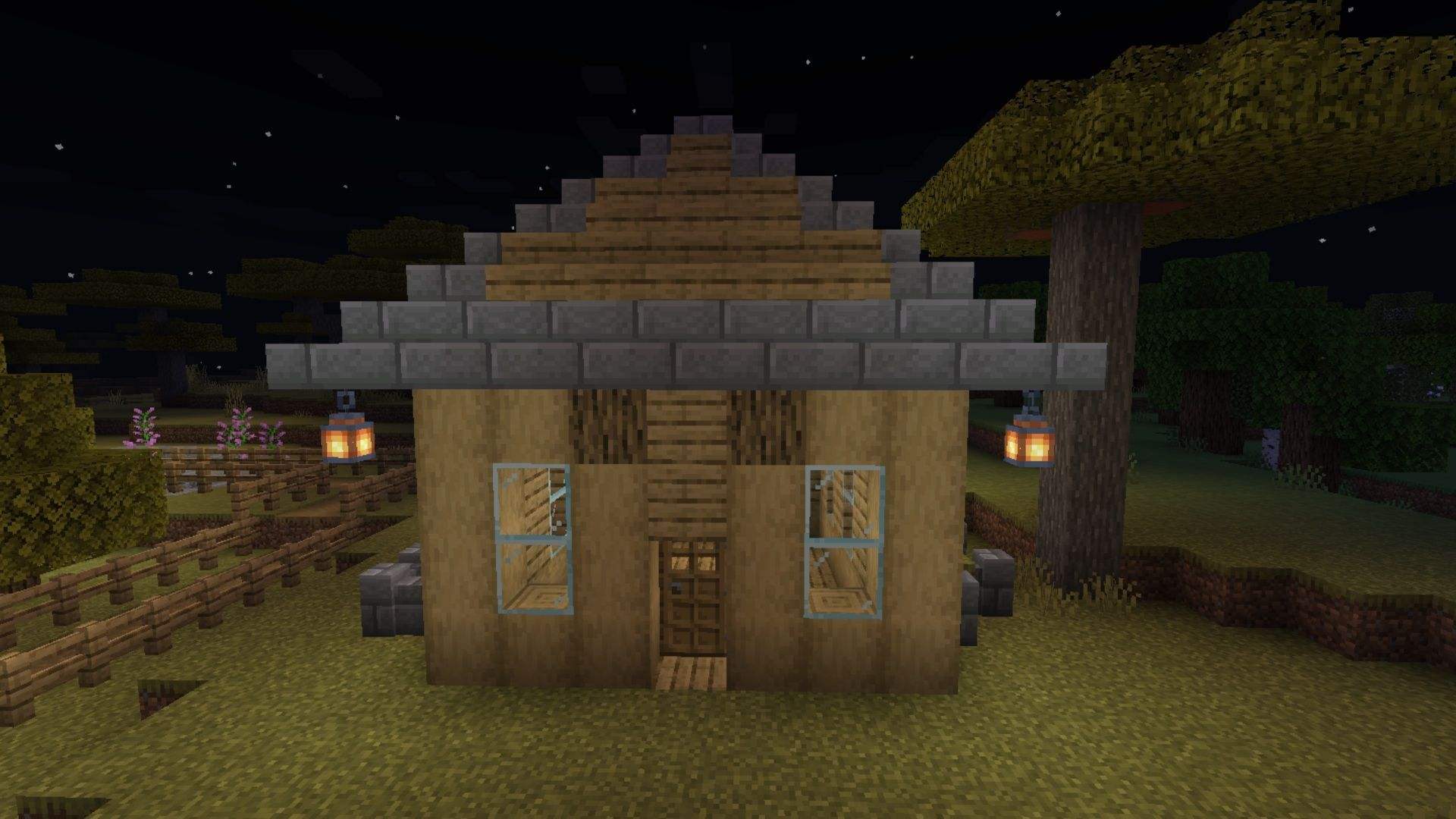 Minecraft Best Survival World