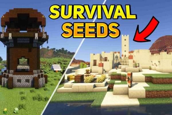 Minecraft Best Survival Seed