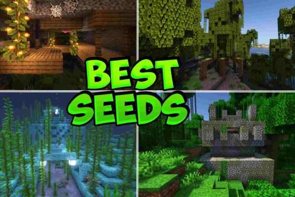 Minecraft Top 5 Best Popular Seeds