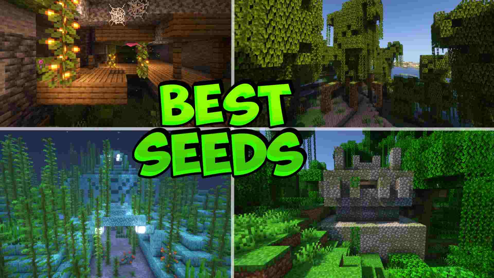 Minecraft Top 5 Best Popular Seeds